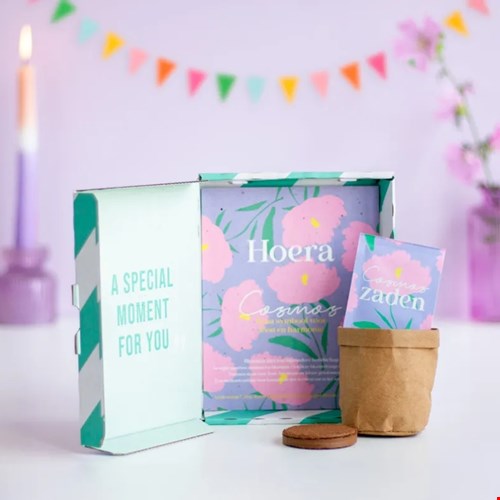 Cosmos żaden hoera Cosmos żaden hoera